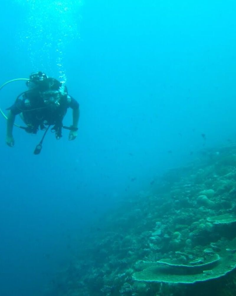 Dykning i Det Indiske Ocean
