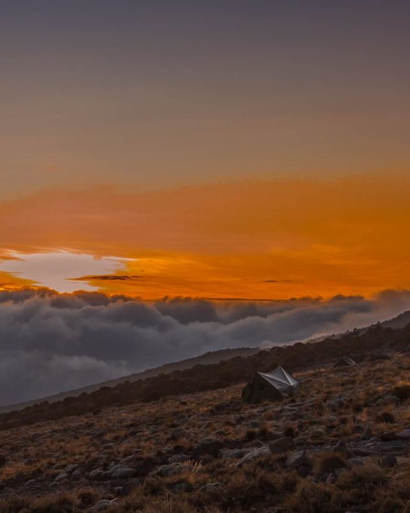 15 fantastiske oplevelser på Kilimanjaro