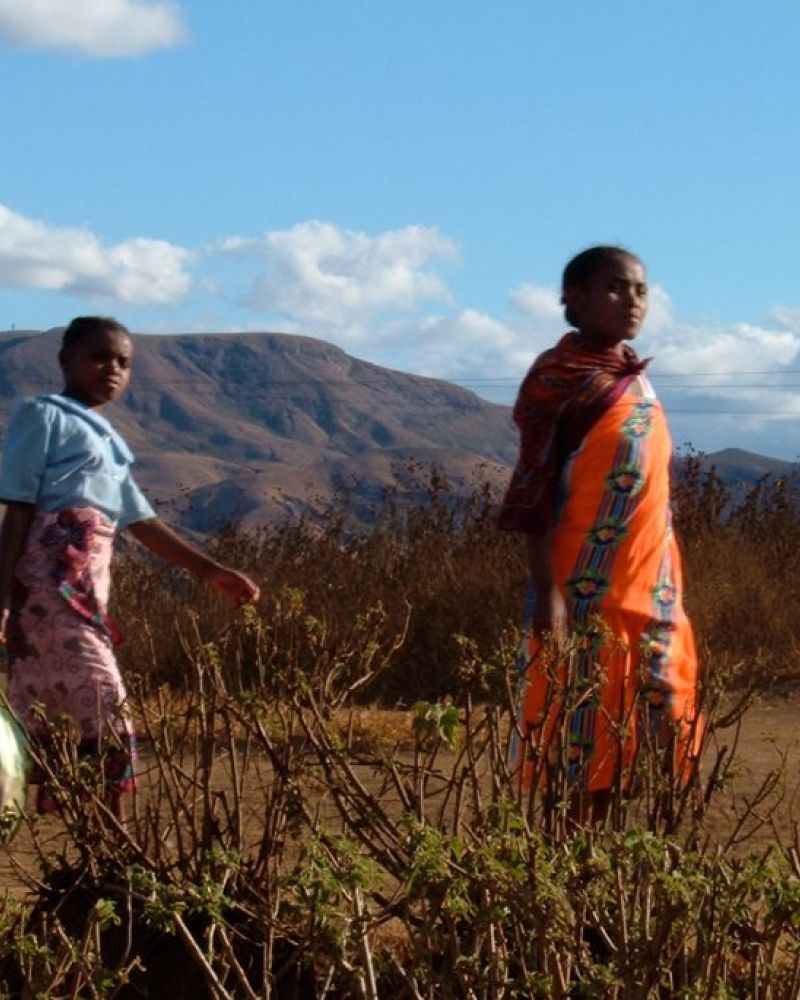 Madagaskar: Det her er godt at vide inden du rejser afsted