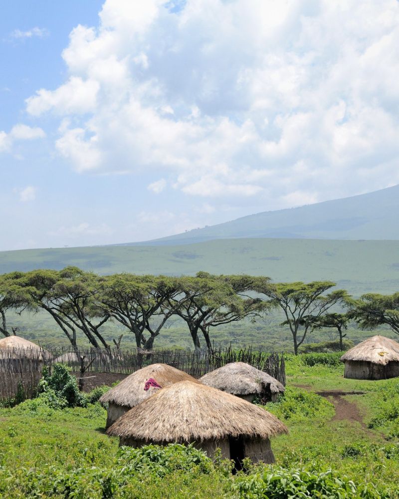 Derfor bør du tage på safari i Ngorongoro krateret