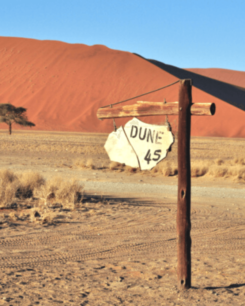 Rejser til Namibia