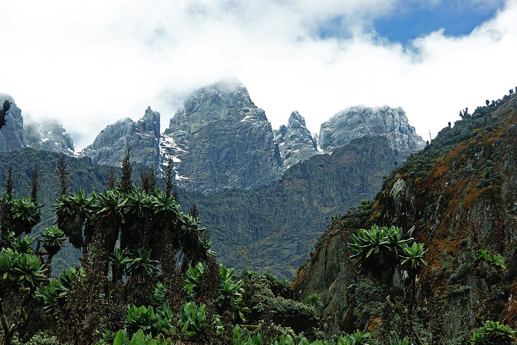 Rwenzori Mountains-uganda