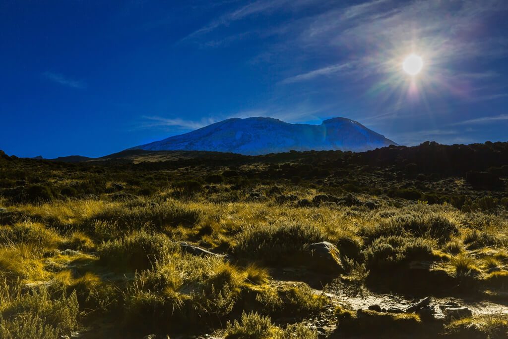Kilimanjaro i solskin