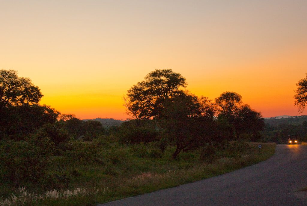 kruger-nationalpark-sydafrika-sol