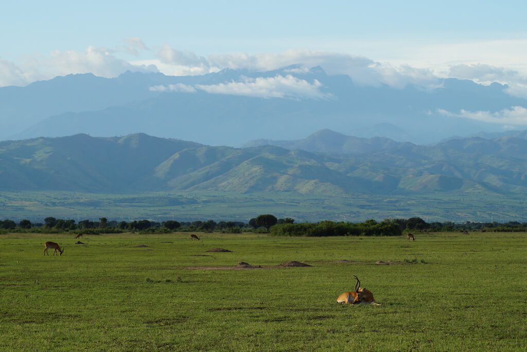 landskab-uganda-rwenzori-queen Elizabeth national park