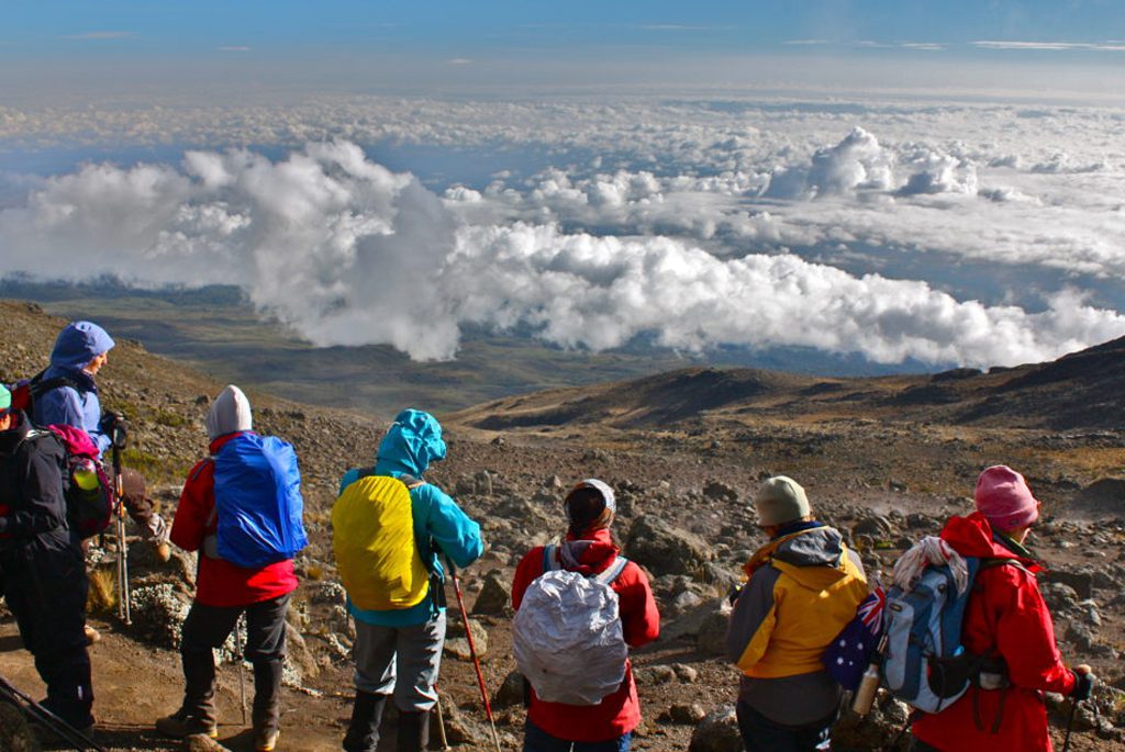 Grupperejse på Kilimanjaro