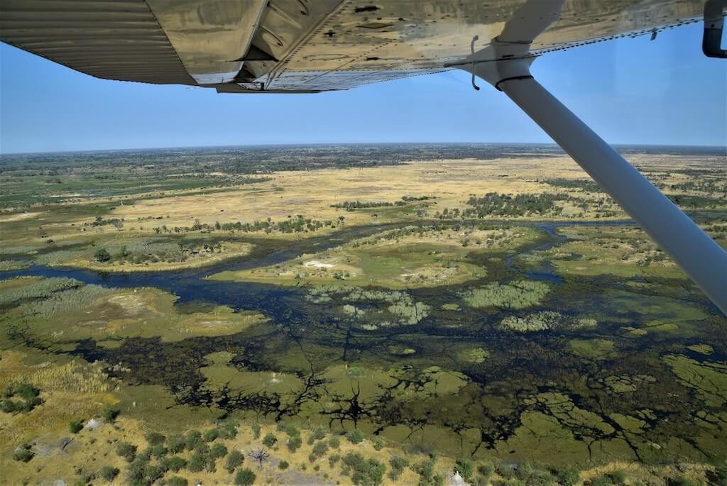 luftfoto-botswana-okavango-fly-vinge-landskab-floder-jumpstory-1024x685-1