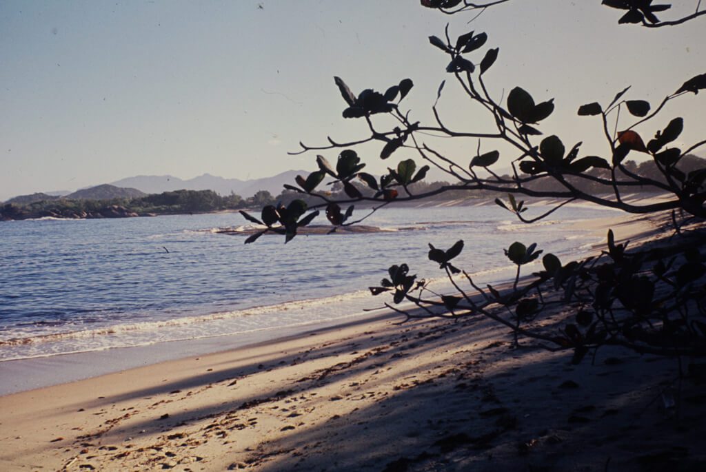 manafiafy-madagaskars strande