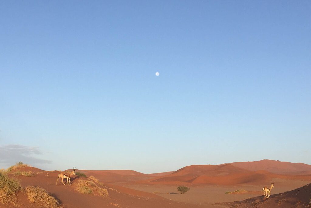 namibia-ørken-sossousvlei-1024x685