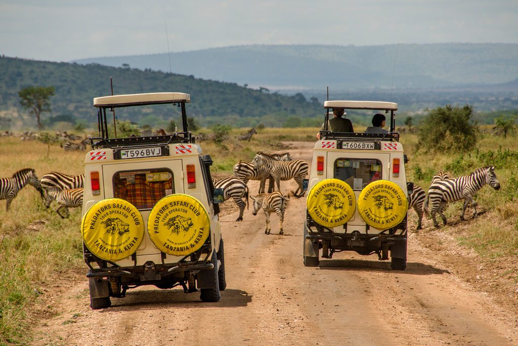 Safari for seniorer i Afrika