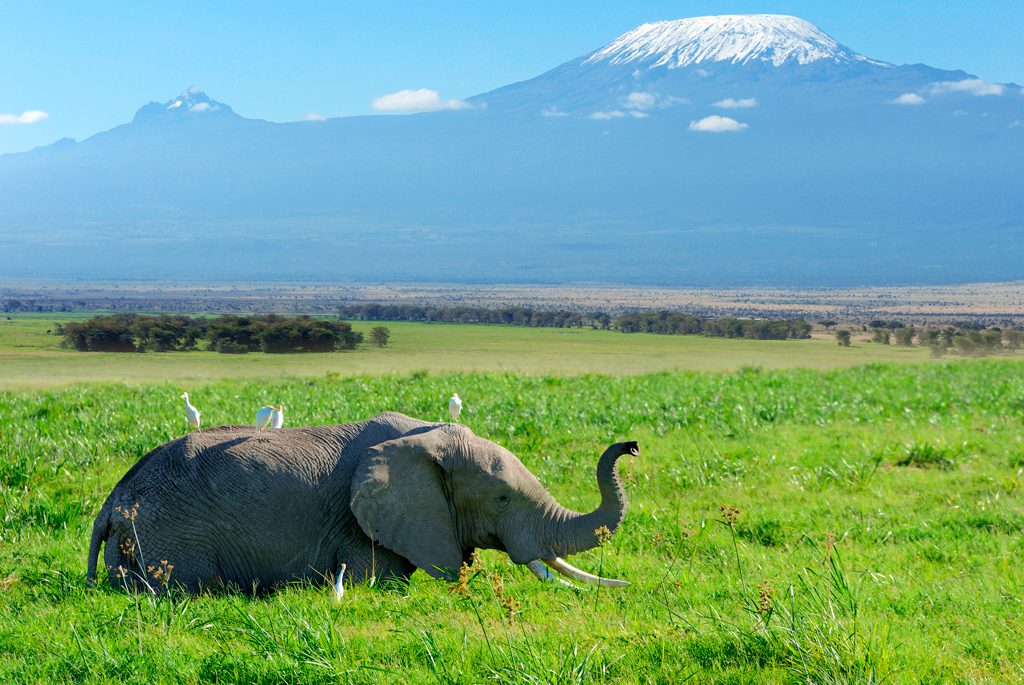 Walking safari og Kilimanjaro