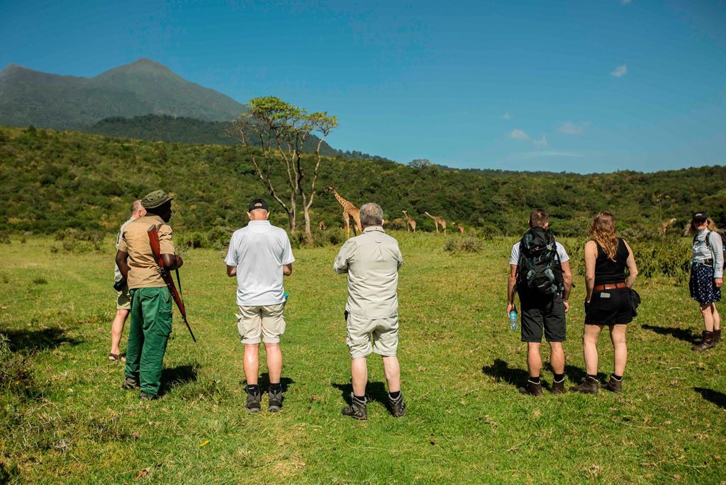 walking safari, Kilimanjaro, Arusha national park
